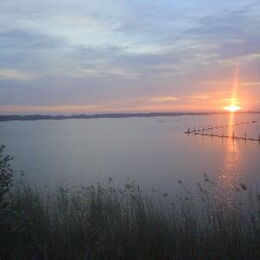 Kranichbeobachtungstour